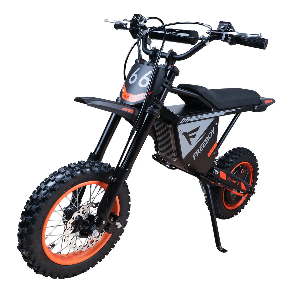 FREEBOY Y66 3000W Electric Dirt Bike for Adults Teens, 34MPH 48V 30Ah Lithium Battery Off-Road Electric Motorcycle, 12/10 Inch Fat Tire E-Bike Moped Scooter, 31-Mile Range 265LBS Load Hydraulic Disc Brake, Beach Snow Mountain