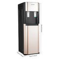 Water Cooler Dispenser, Water Cooler with Hot & Cold, Bottom Loading, Durable Stainless Steel Liner, PP Shell, 450W Heating, 70W Cooling for Home Kitchen, Anti-corrosion, Gold, US Standard
