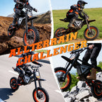 FREEBOY Y66 3000W Electric Dirt Bike for Adults Teens, 34MPH 48V 30Ah Lithium Battery Off-Road Electric Motorcycle, 12/10 Inch Fat Tire E-Bike Moped Scooter, 31-Mile Range 265LBS Load Hydraulic Disc Brake, Beach Snow Mountain