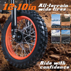 FREEBOY Y66 3000W Electric Dirt Bike for Adults Teens, 34MPH 48V 30Ah Lithium Battery Off-Road Electric Motorcycle, 12/10 Inch Fat Tire E-Bike Moped Scooter, 31-Mile Range 265LBS Load Hydraulic Disc Brake, Beach Snow Mountain